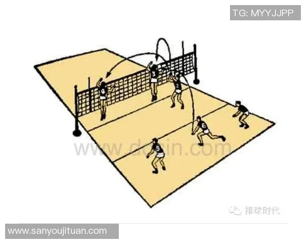 排球战术深度解析：武汉排球队的制胜秘密与训练揭秘