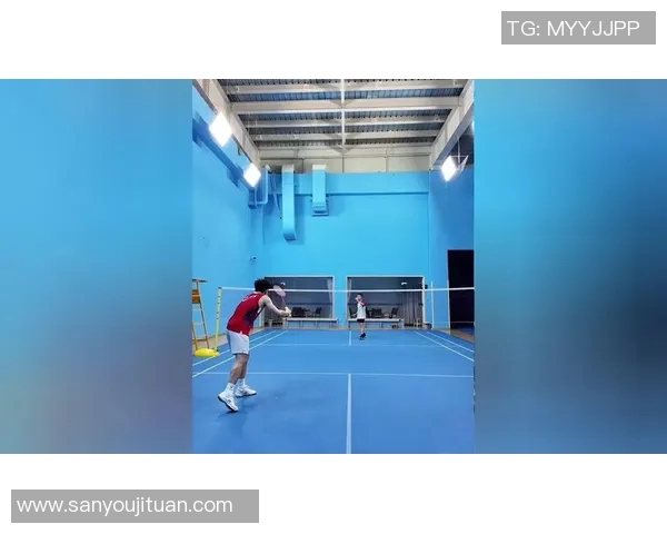 张芳独家分享羽毛球技巧与心得助你提升球技的全方位指南