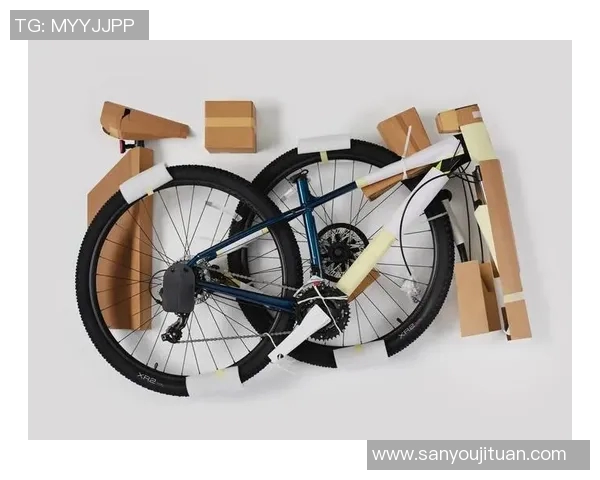 探索自行车的魅力：从环保出行到健康生活的全方位体验与发展趋势